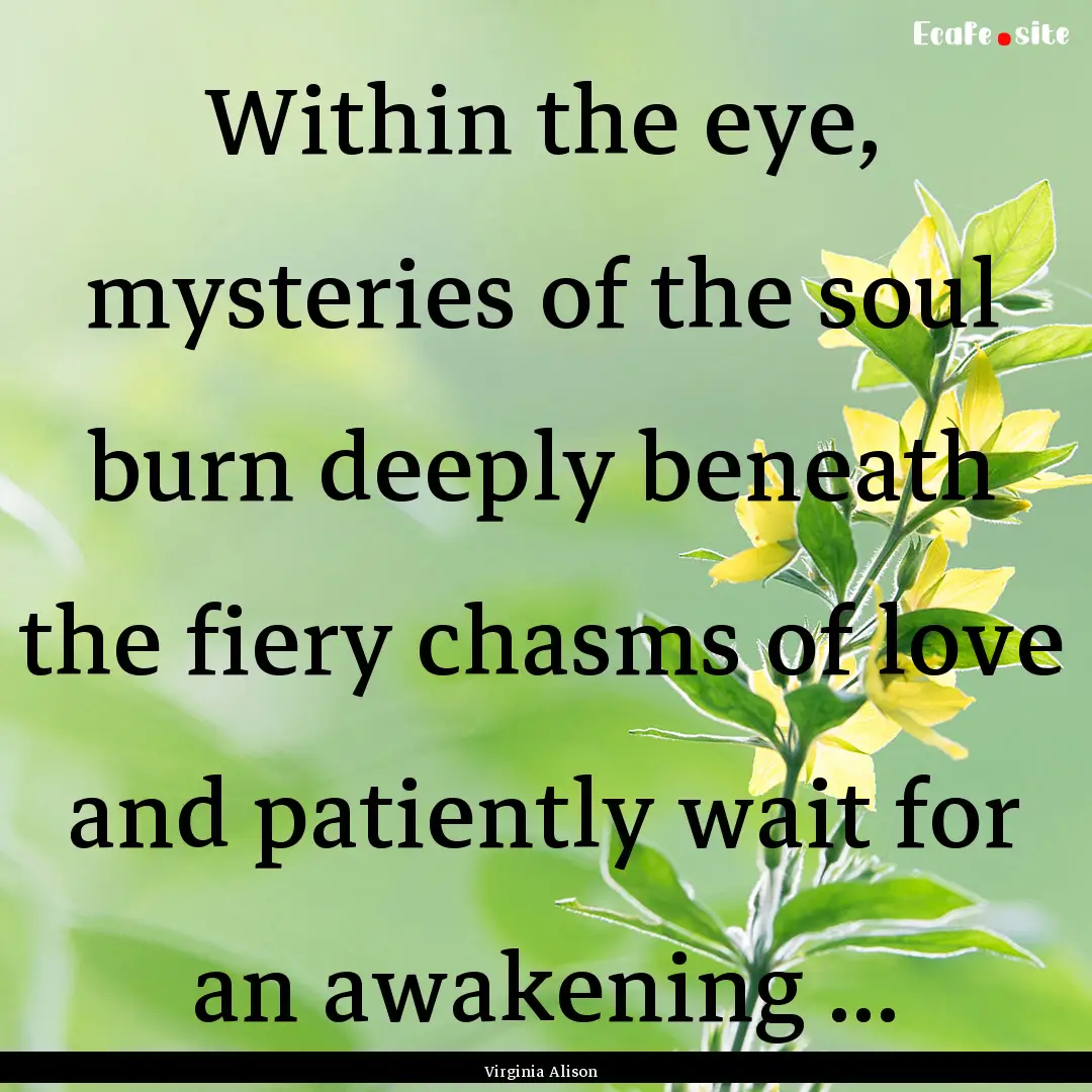 Within the eye, mysteries of the soul burn.... : Quote by Virginia Alison