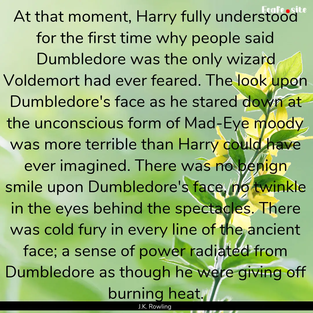 At that moment, Harry fully understood for.... : Quote by J.K. Rowling