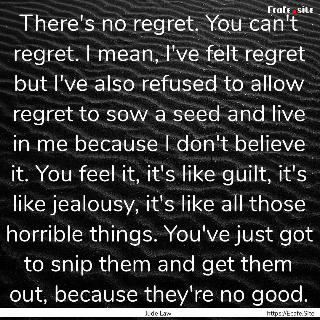 There's no regret. You can't regret. I mean,.... : Quote by Jude Law