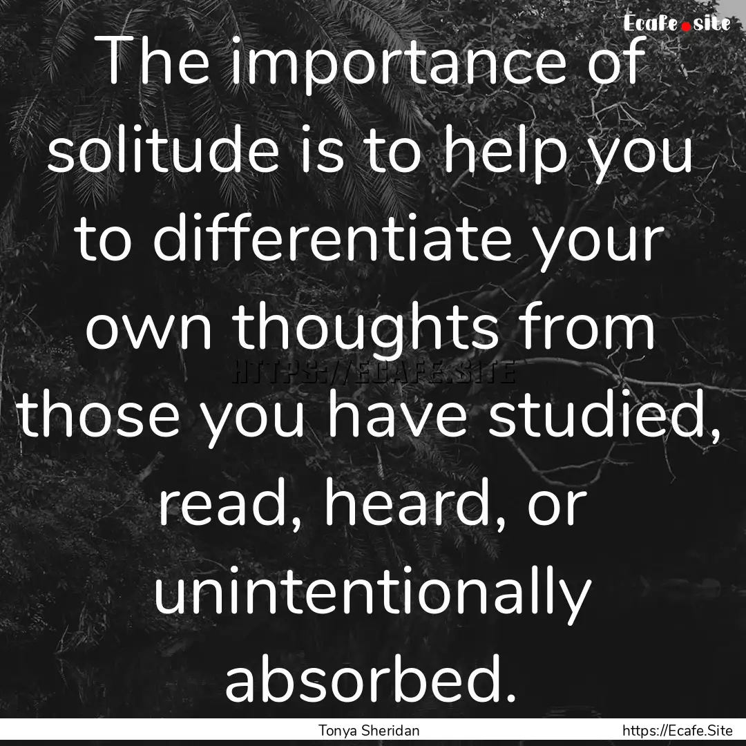 The importance of solitude is to help you.... : Quote by Tonya Sheridan