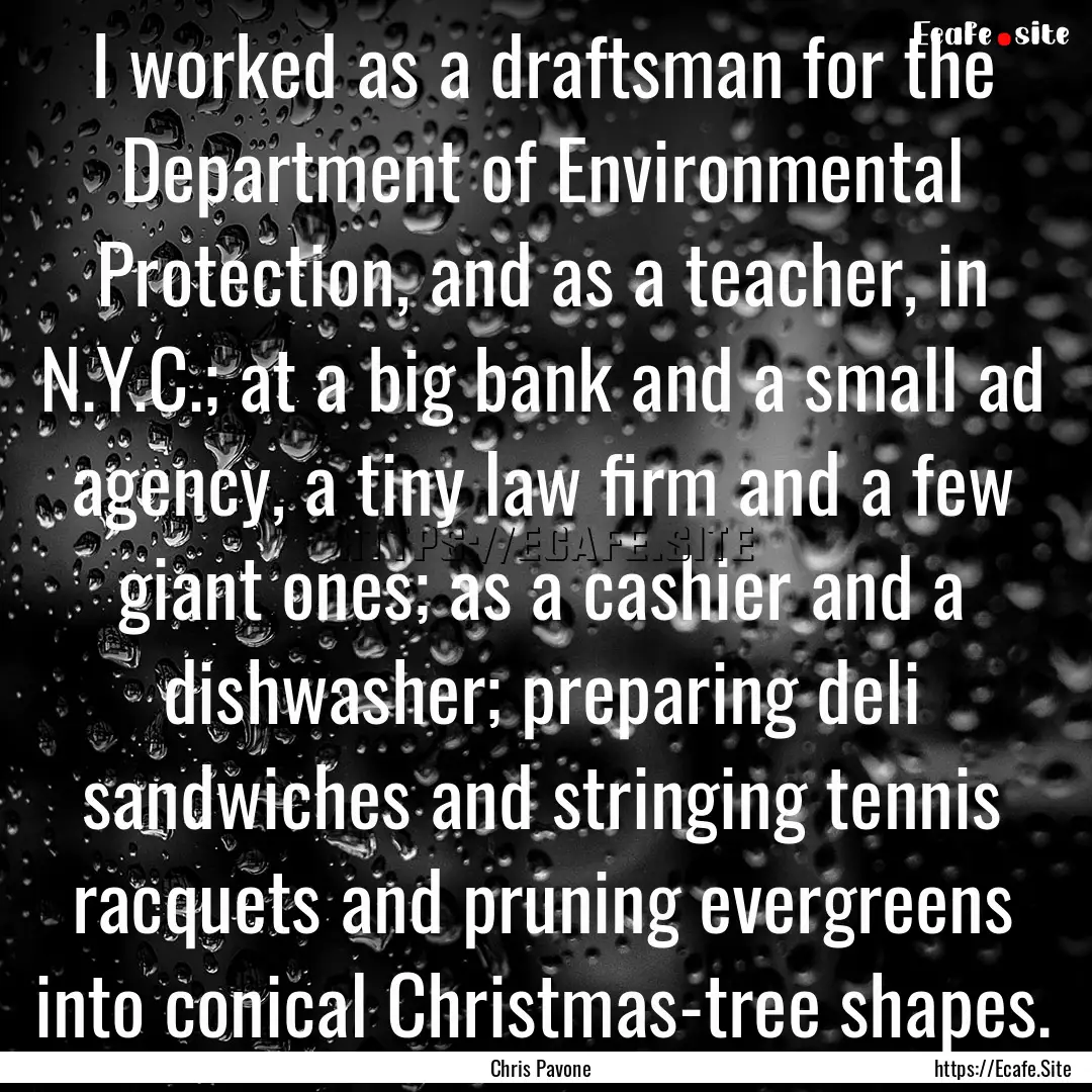 I worked as a draftsman for the Department.... : Quote by Chris Pavone