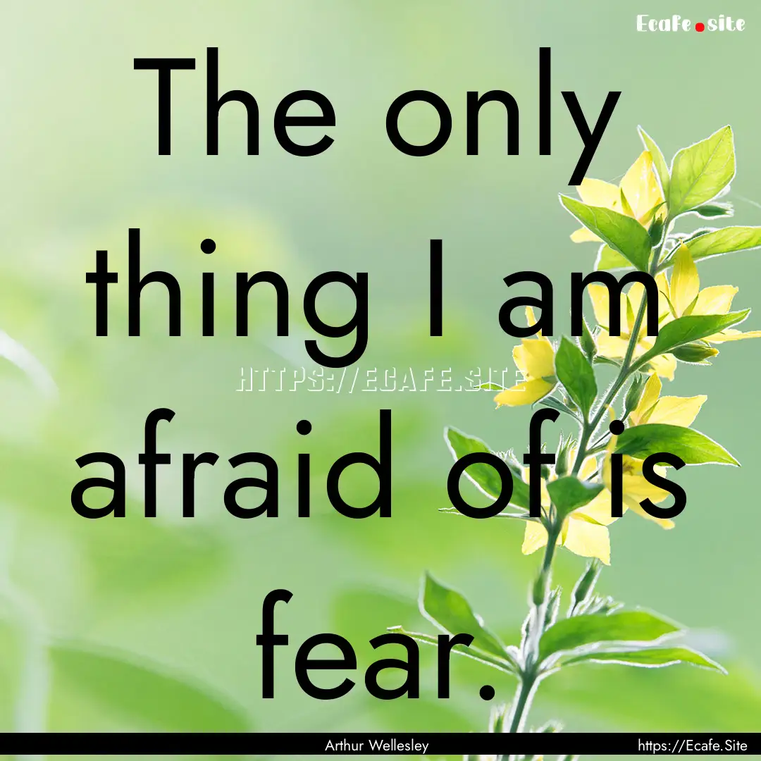 The only thing I am afraid of is fear. : Quote by Arthur Wellesley