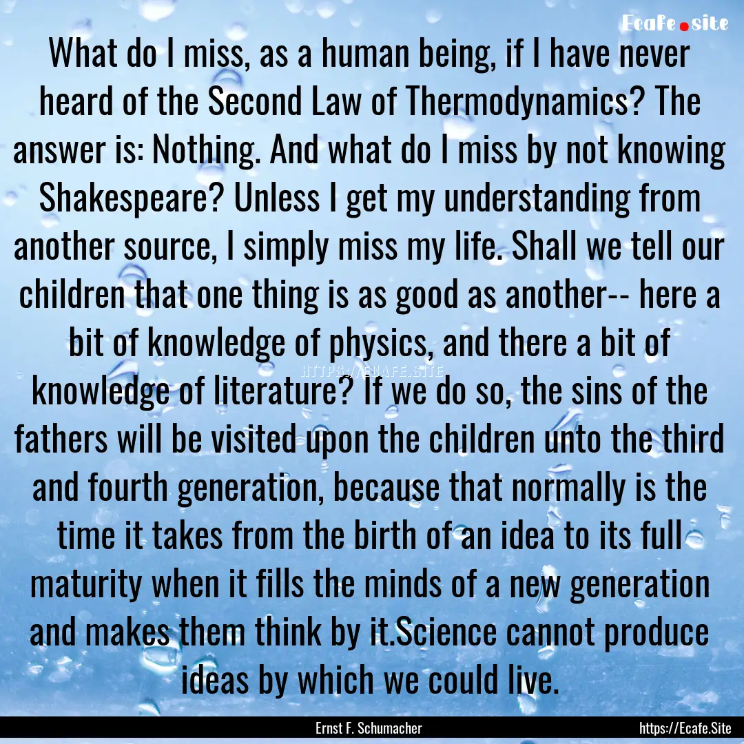 What do I miss, as a human being, if I have.... : Quote by Ernst F. Schumacher