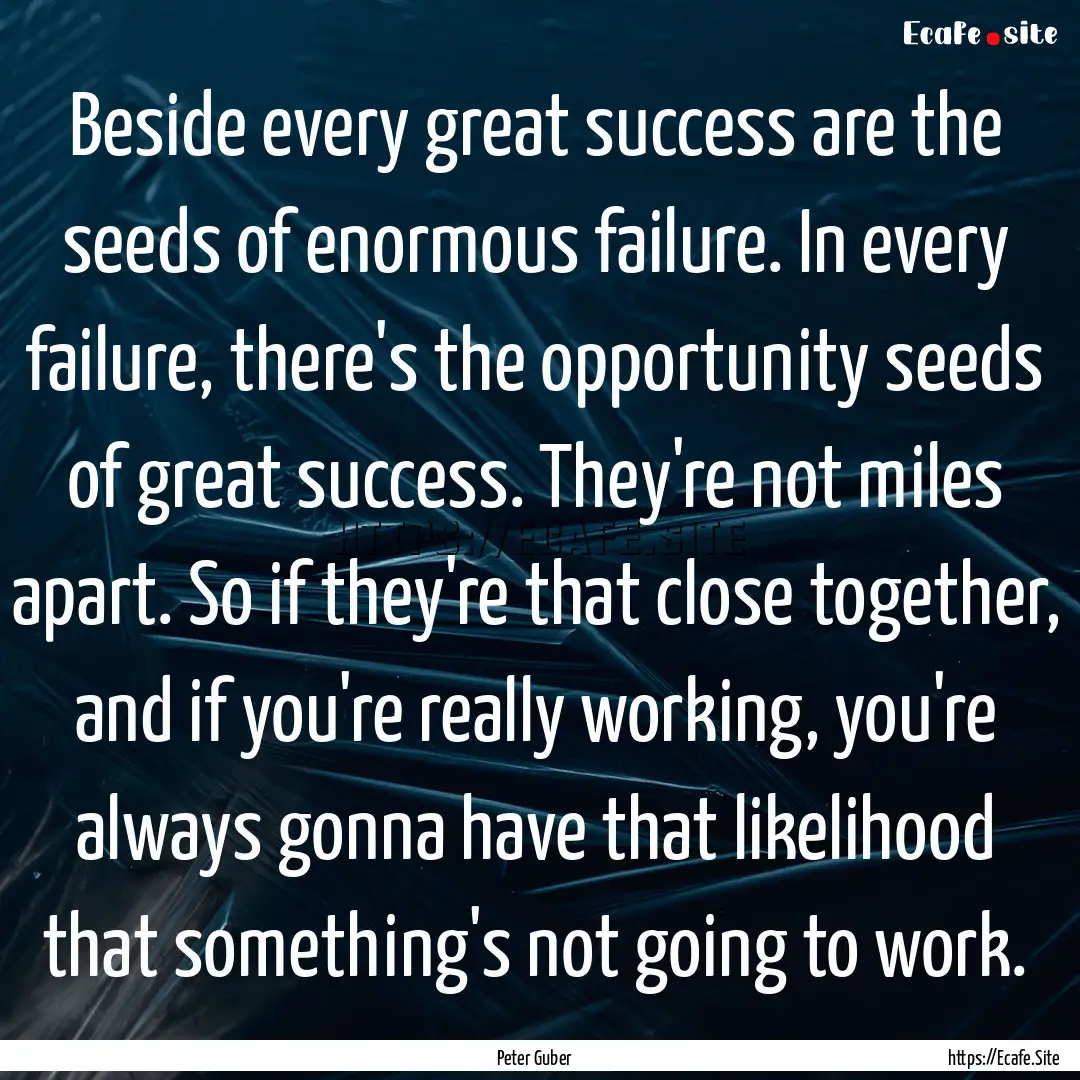 Beside every great success are the seeds.... : Quote by Peter Guber