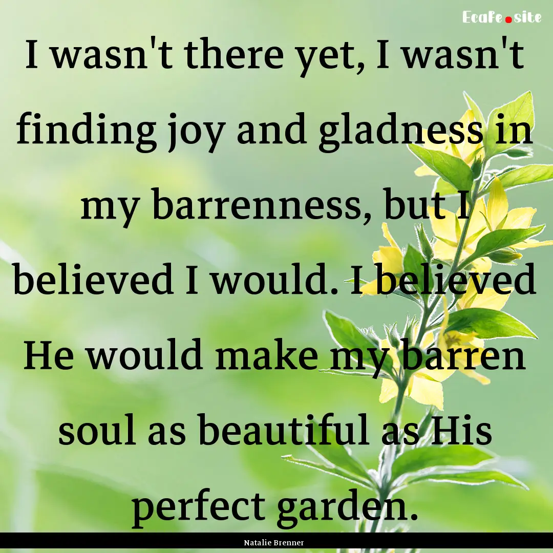 I wasn't there yet, I wasn't finding joy.... : Quote by Natalie Brenner