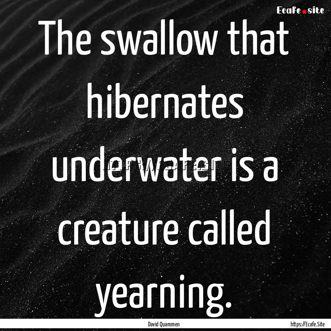 The swallow that hibernates underwater is.... : Quote by David Quammen