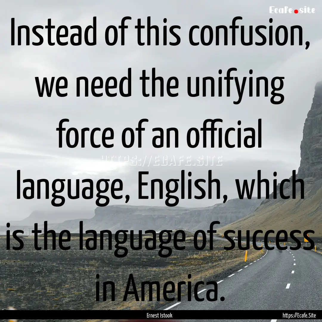 Instead of this confusion, we need the unifying.... : Quote by Ernest Istook