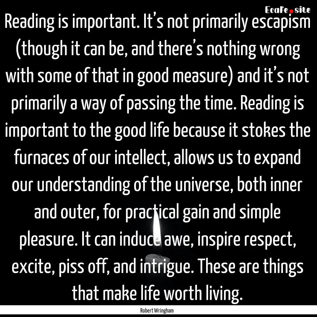 Reading is important. It’s not primarily.... : Quote by Robert Wringham