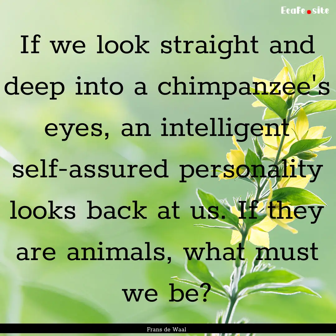 If we look straight and deep into a chimpanzee's.... : Quote by Frans de Waal