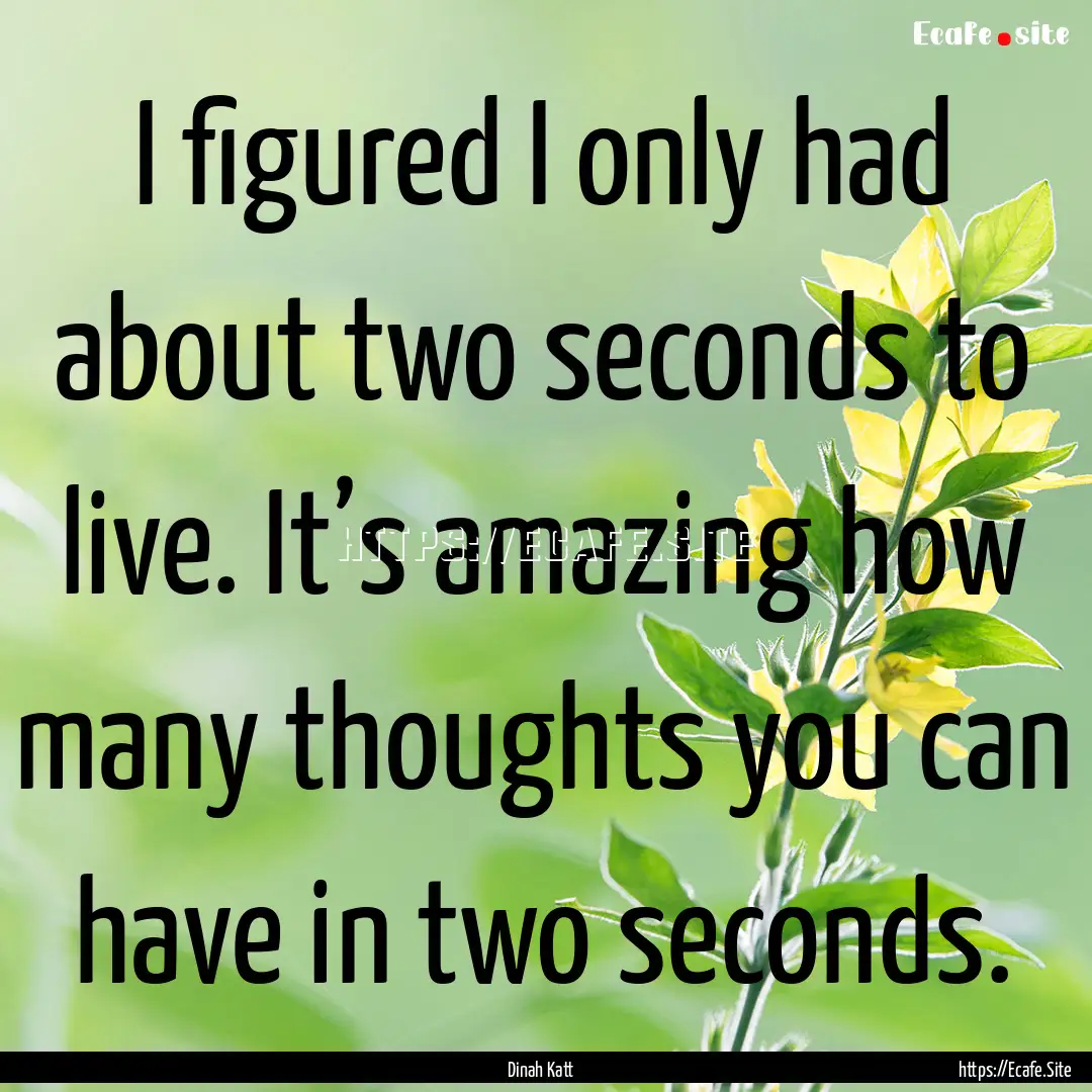 I figured I only had about two seconds to.... : Quote by Dinah Katt