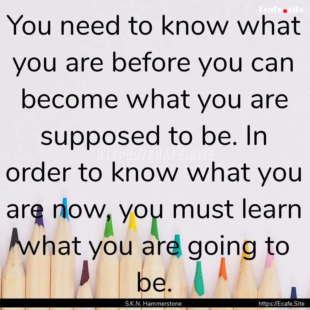 You need to know what you are before you.... : Quote by S.K.N. Hammerstone