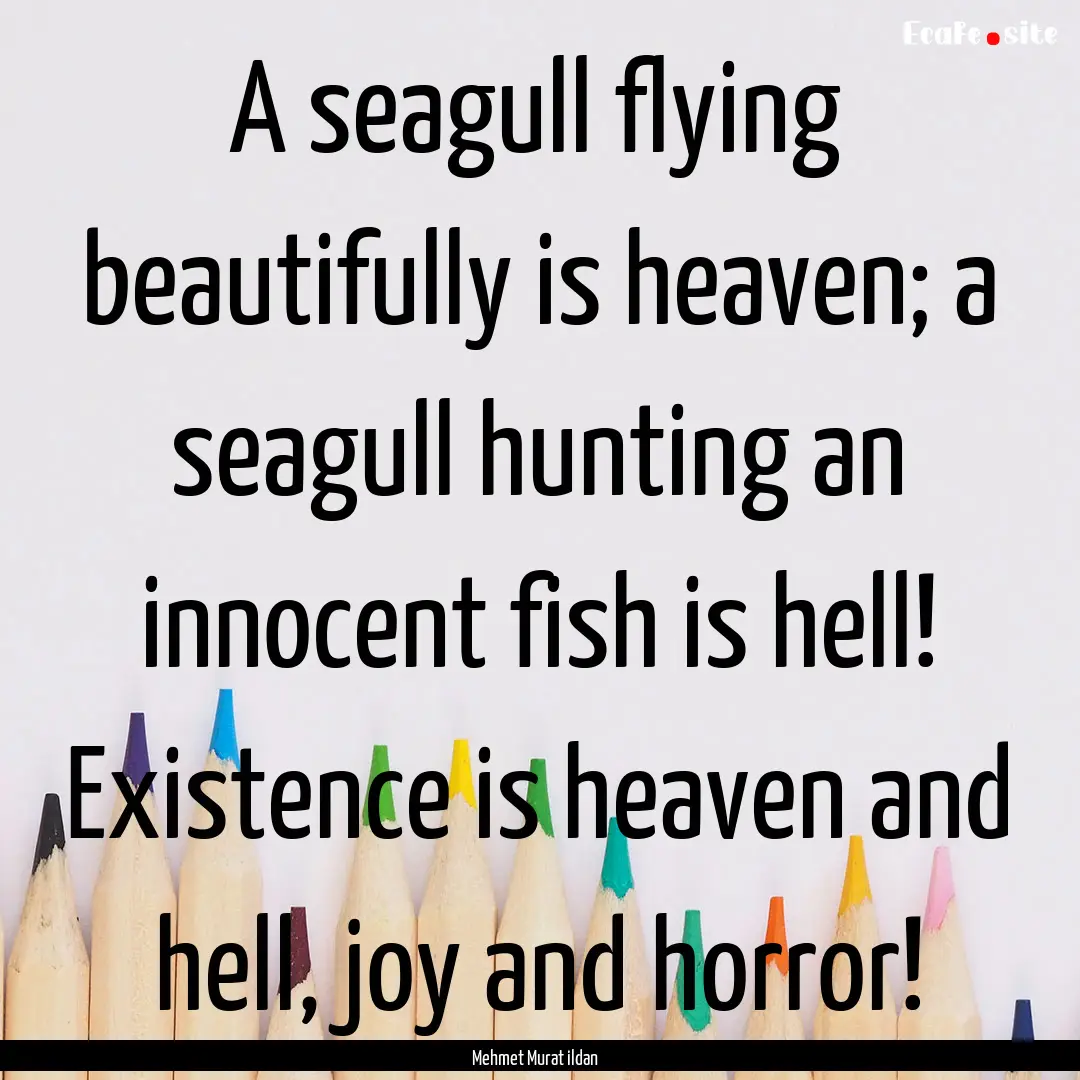 A seagull flying beautifully is heaven; a.... : Quote by Mehmet Murat ildan