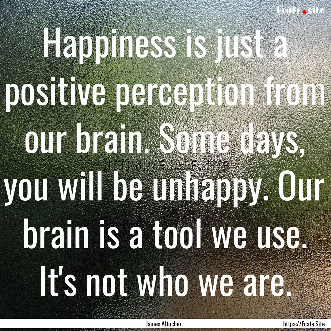 Happiness is just a positive perception from.... : Quote by James Altucher