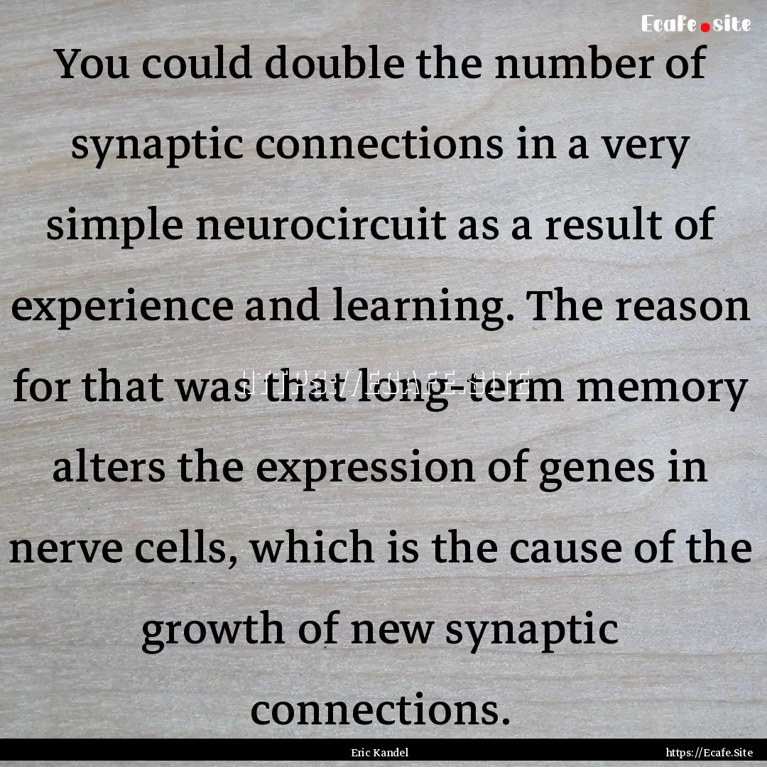 You could double the number of synaptic connections.... : Quote by Eric Kandel