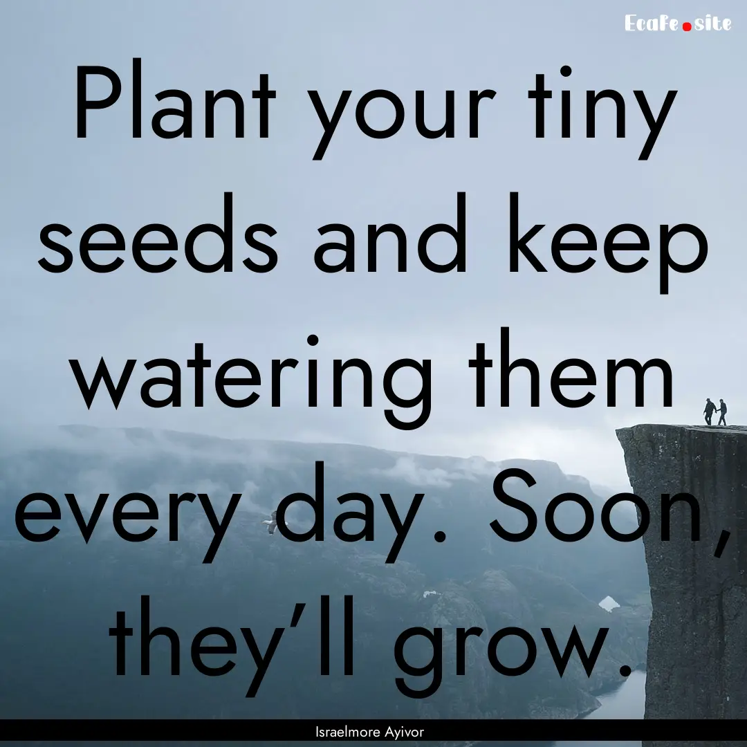 Plant your tiny seeds and keep watering them.... : Quote by Israelmore Ayivor