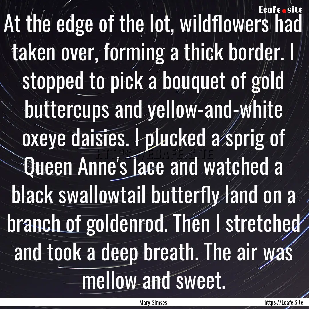 At the edge of the lot, wildflowers had taken.... : Quote by Mary Simses