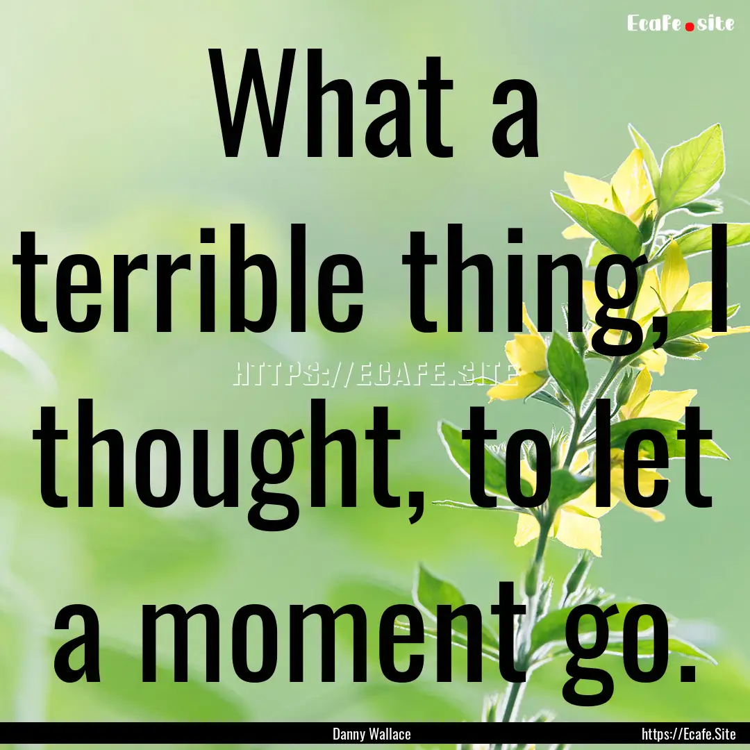 What a terrible thing, I thought, to let.... : Quote by Danny Wallace