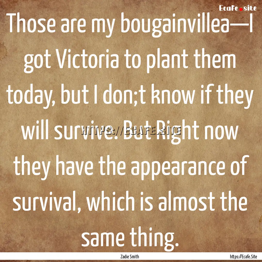 Those are my bougainvillea—I got Victoria.... : Quote by Zadie Smith