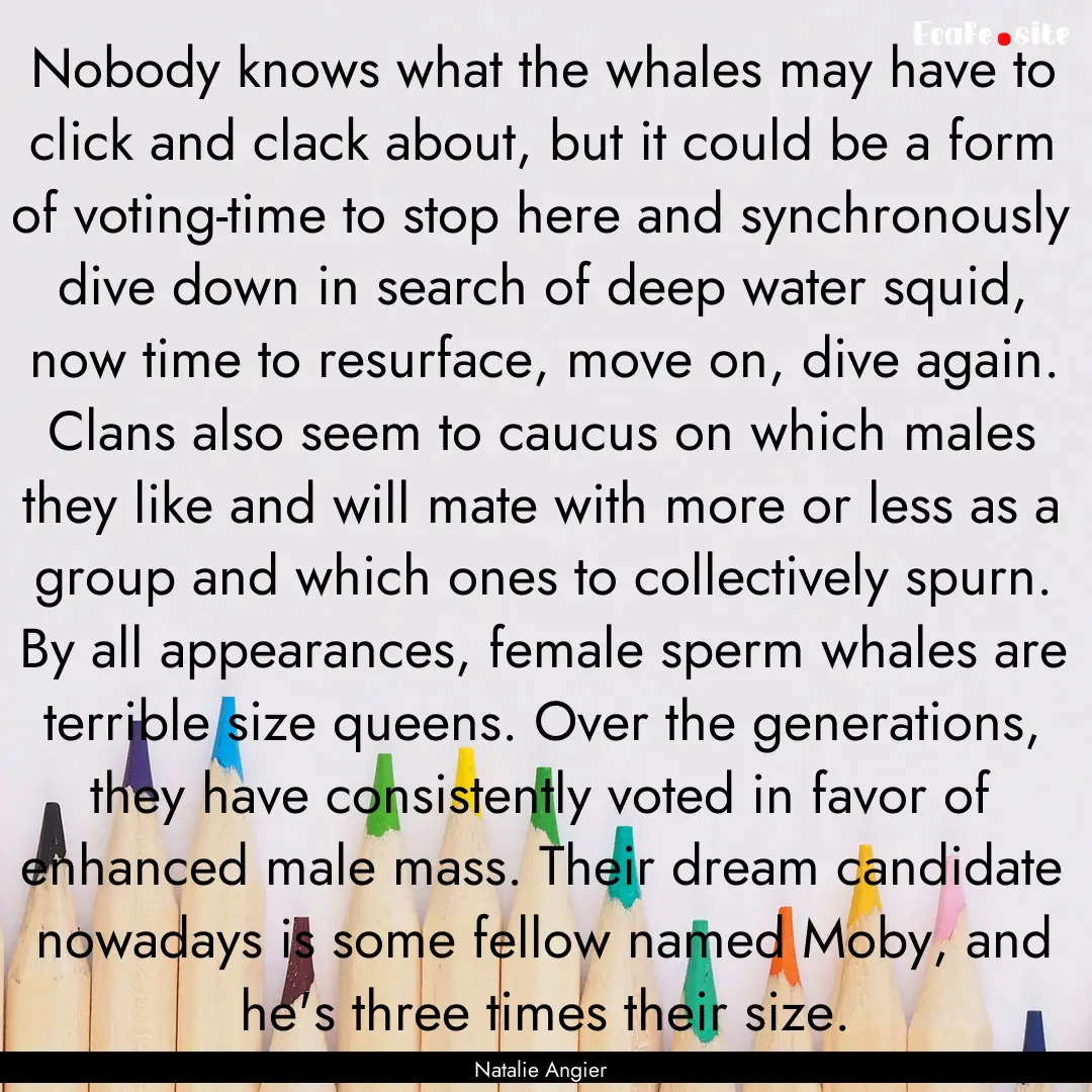 Nobody knows what the whales may have to.... : Quote by Natalie Angier