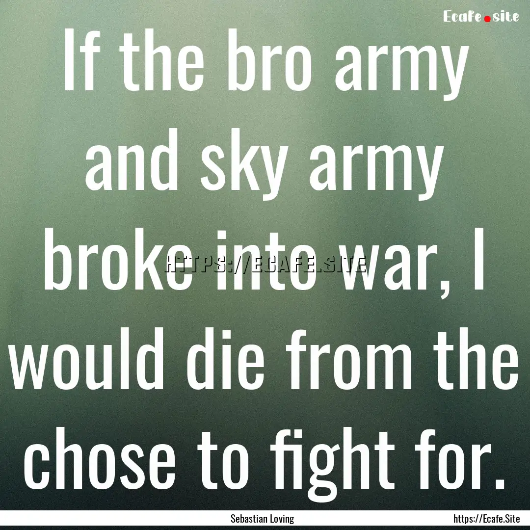 If the bro army and sky army broke into war,.... : Quote by Sebastian Loving