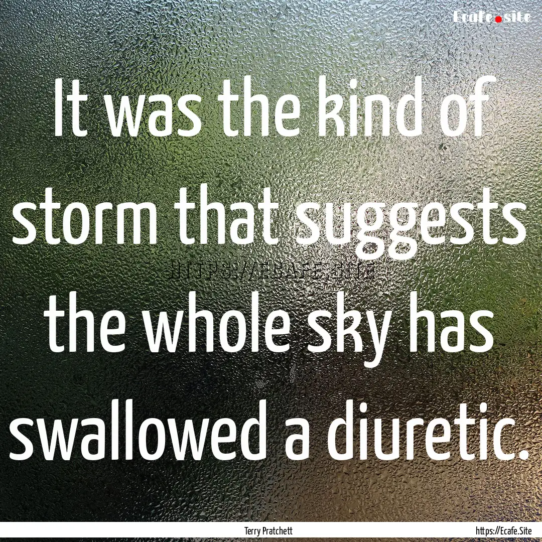 It was the kind of storm that suggests the.... : Quote by Terry Pratchett