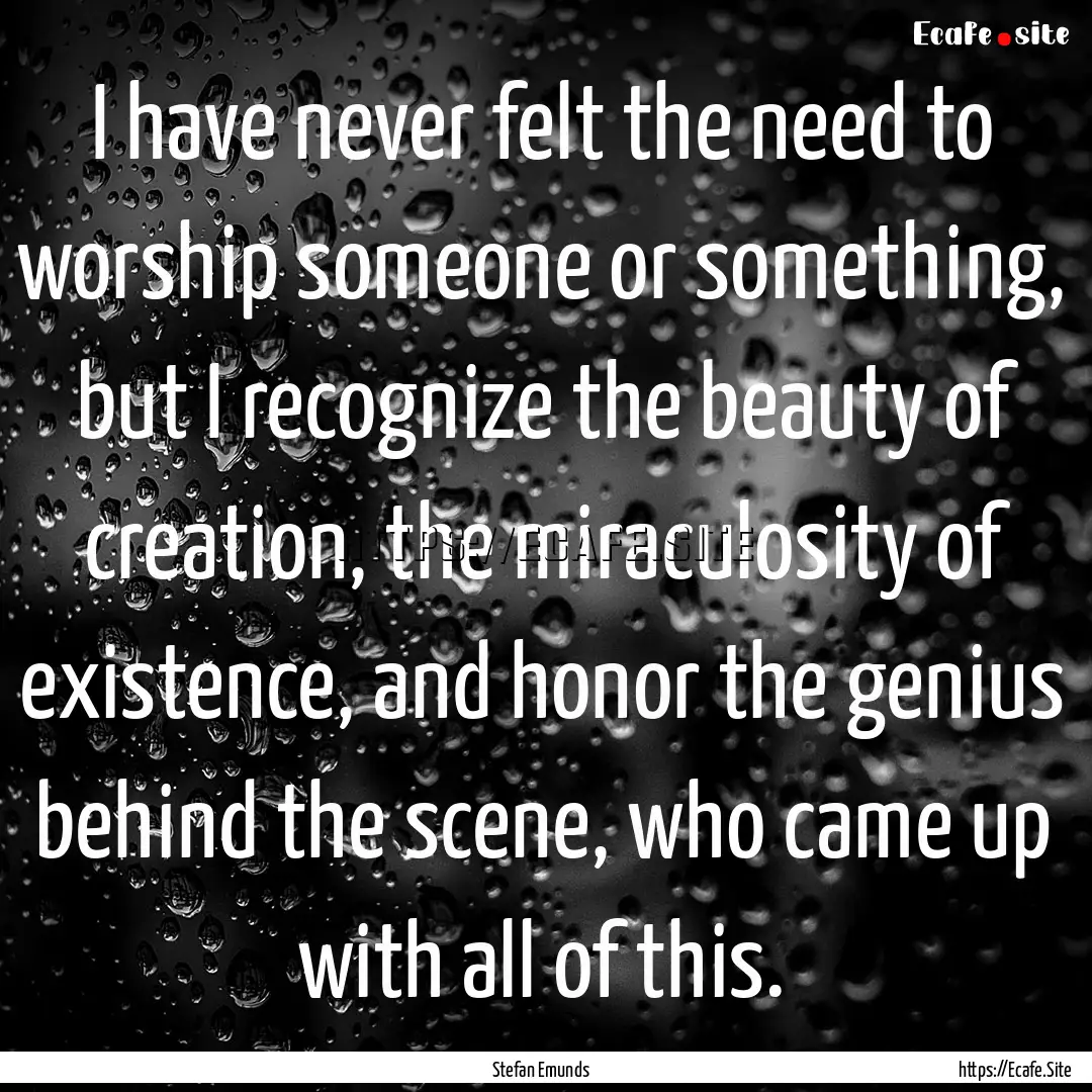 I have never felt the need to worship someone.... : Quote by Stefan Emunds