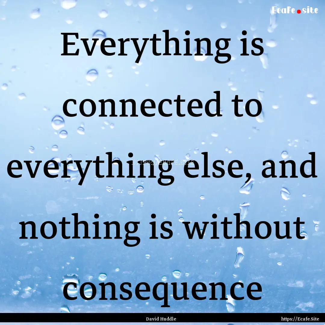 Everything is connected to everything else,.... : Quote by David Huddle