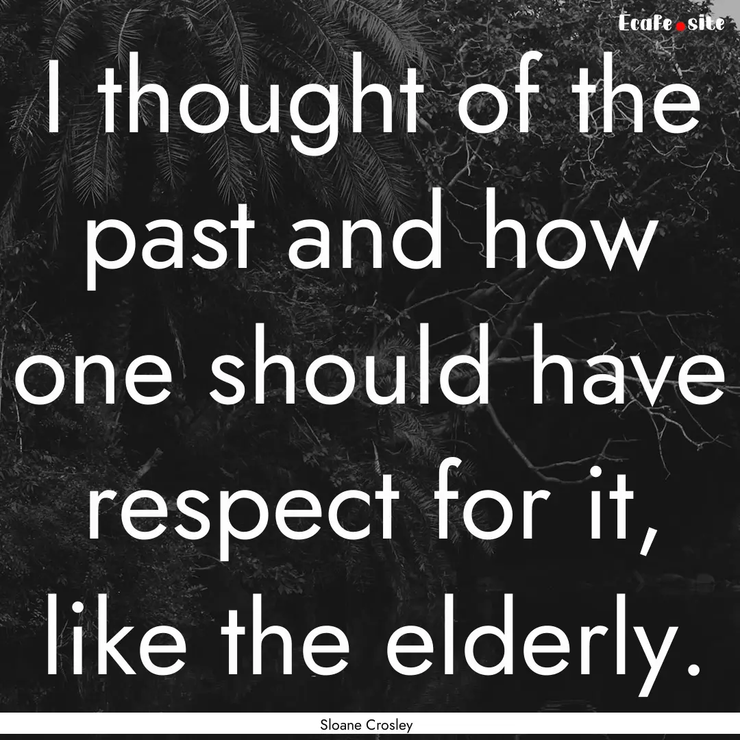 I thought of the past and how one should.... : Quote by Sloane Crosley