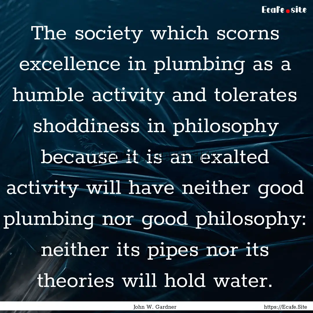 The society which scorns excellence in plumbing.... : Quote by John W. Gardner