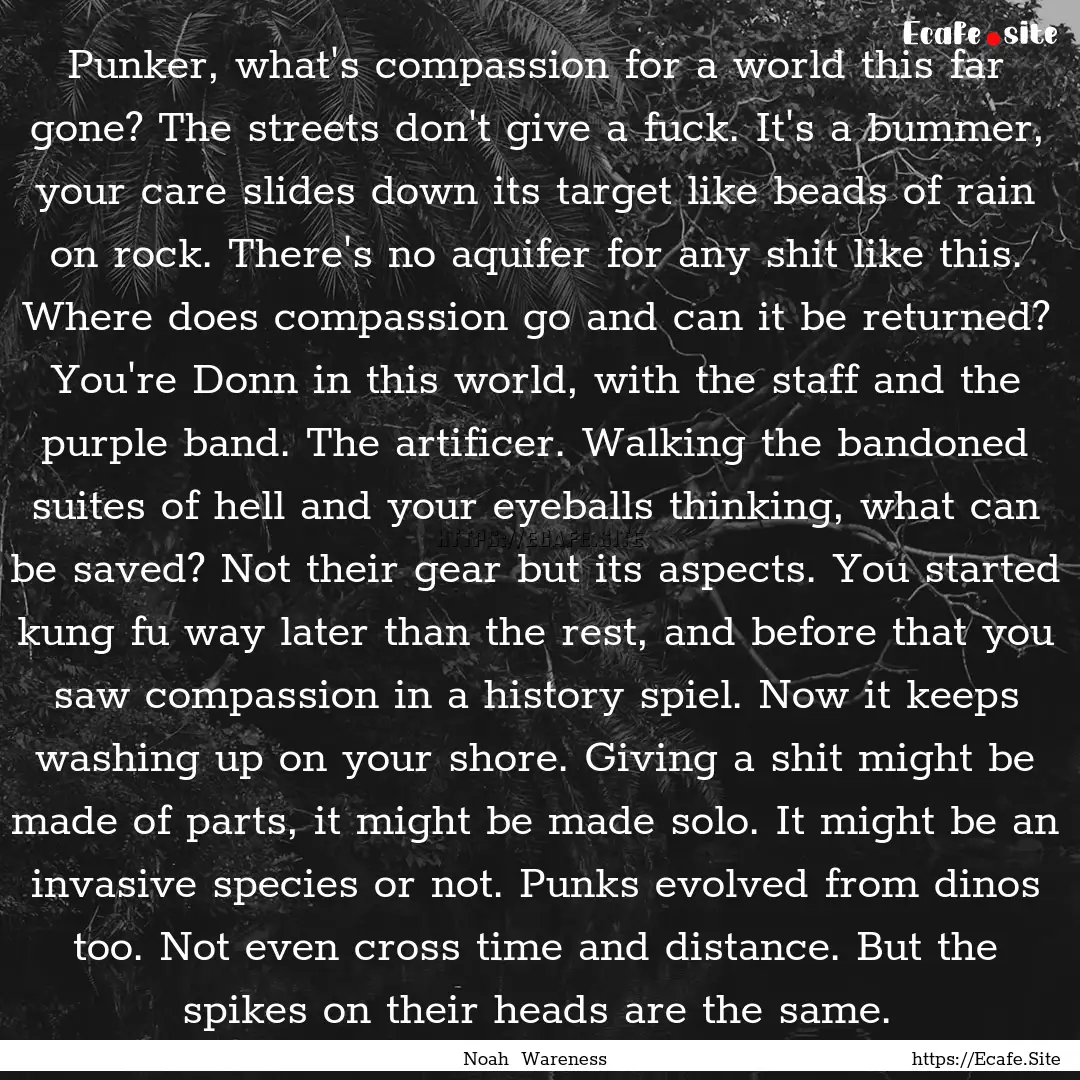 Punker, what's compassion for a world this.... : Quote by Noah Wareness