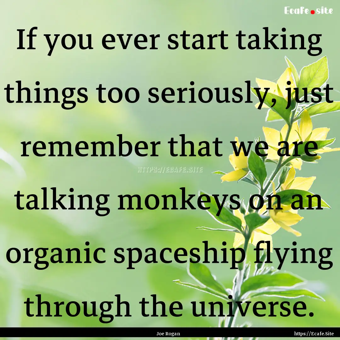 If you ever start taking things too seriously,.... : Quote by Joe Rogan