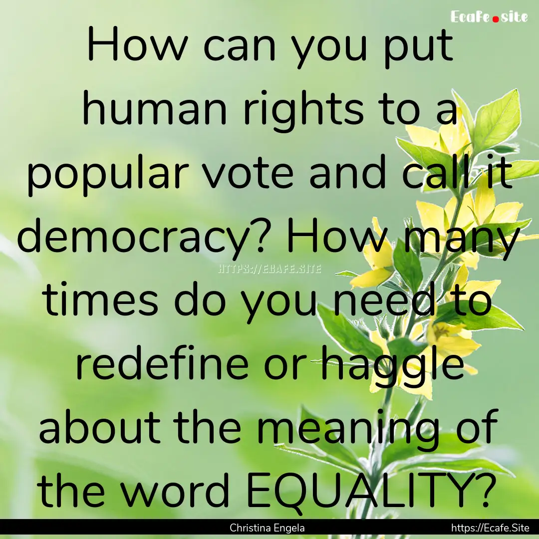 How can you put human rights to a popular.... : Quote by Christina Engela