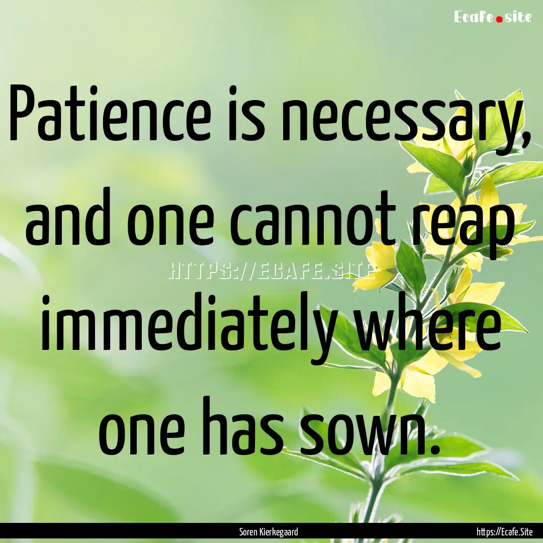 Patience is necessary, and one cannot reap.... : Quote by Soren Kierkegaard