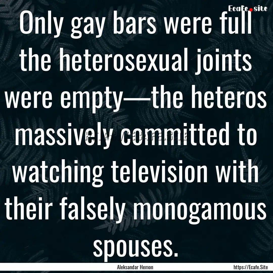 Only gay bars were full the heterosexual.... : Quote by Aleksandar Hemon