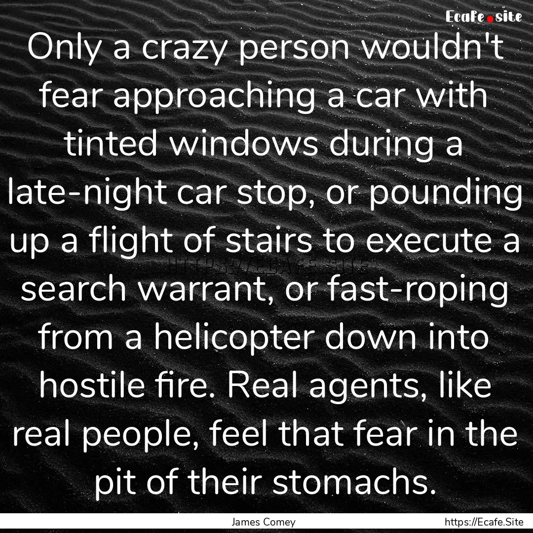 Only a crazy person wouldn't fear approaching.... : Quote by James Comey