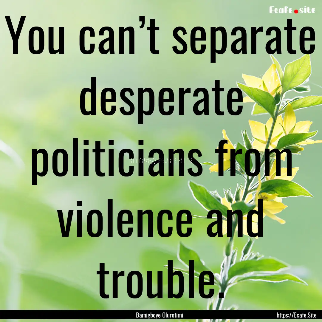 You can’t separate desperate politicians.... : Quote by Bamigboye Olurotimi