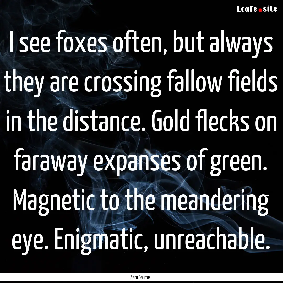 I see foxes often, but always they are crossing.... : Quote by Sara Baume