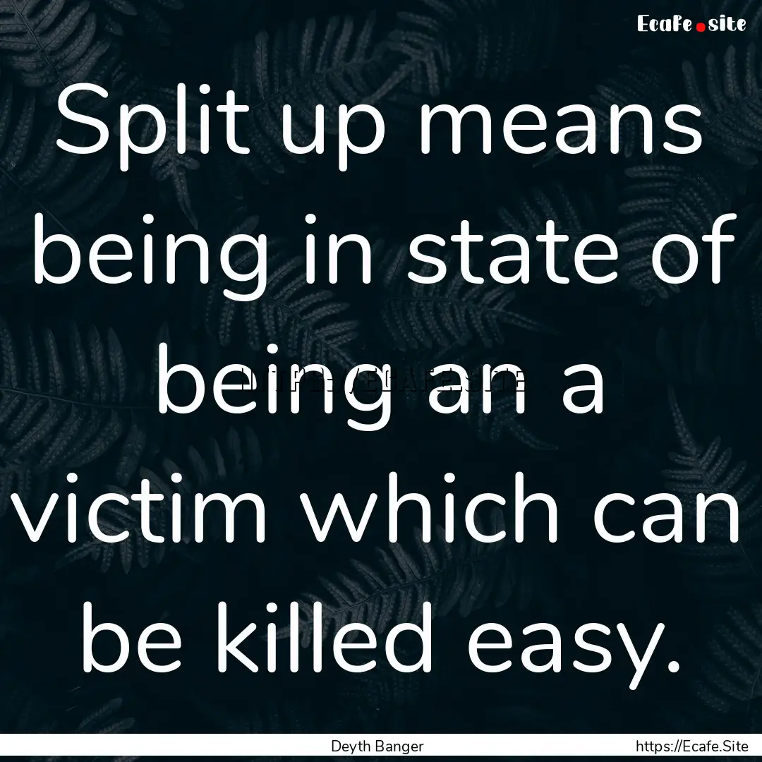 Split up means being in state of being an.... : Quote by Deyth Banger