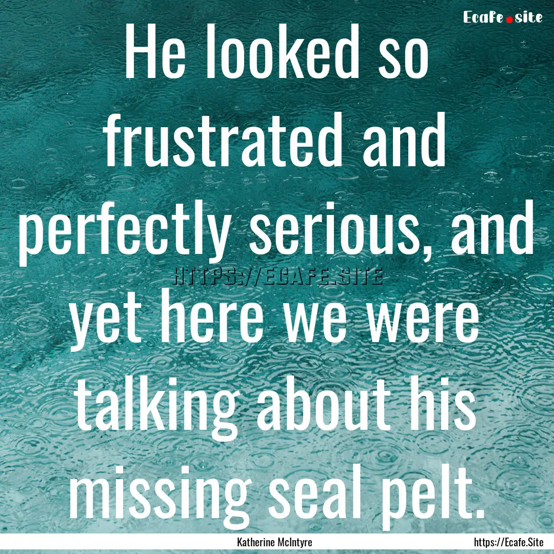 He looked so frustrated and perfectly serious,.... : Quote by Katherine McIntyre