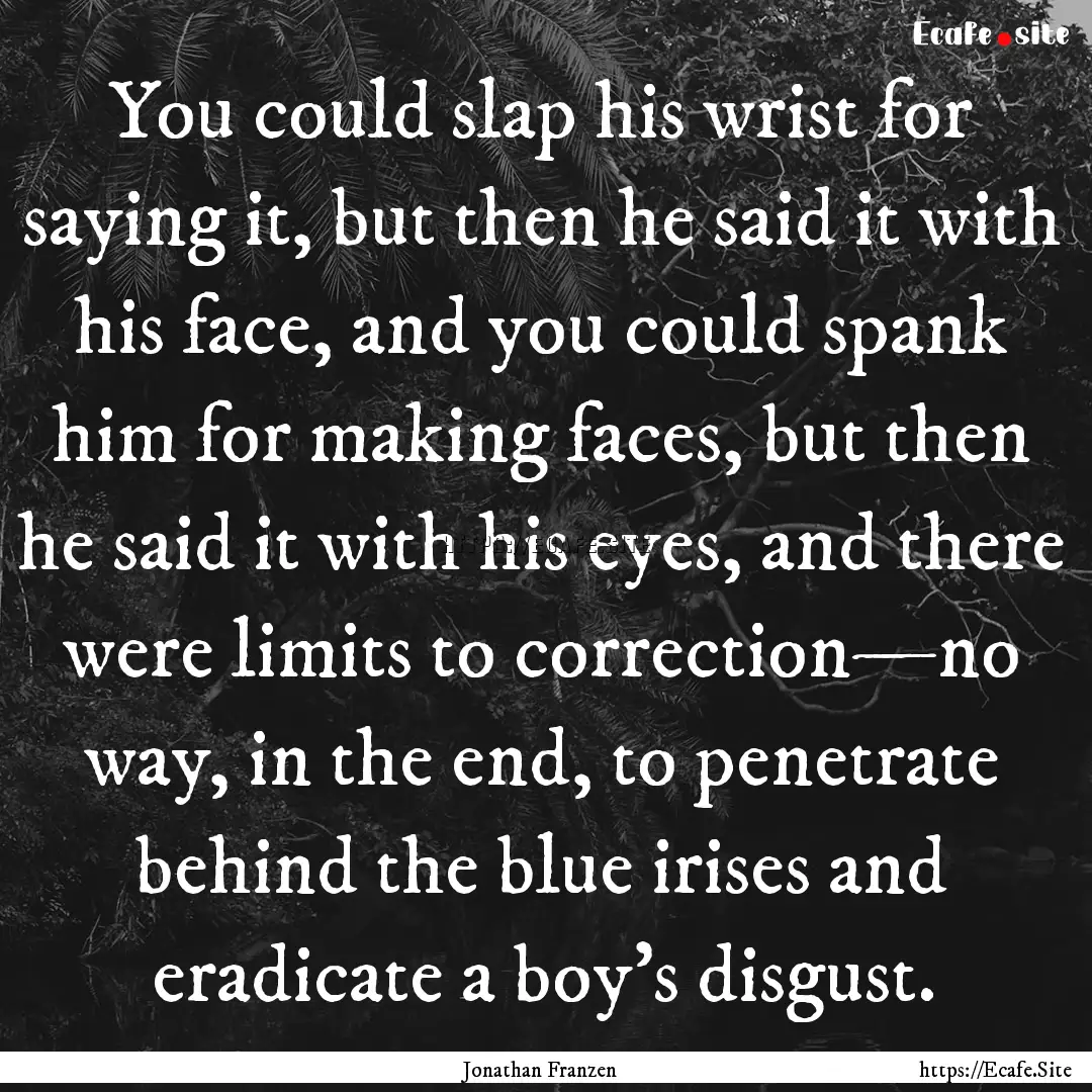 You could slap his wrist for saying it, but.... : Quote by Jonathan Franzen