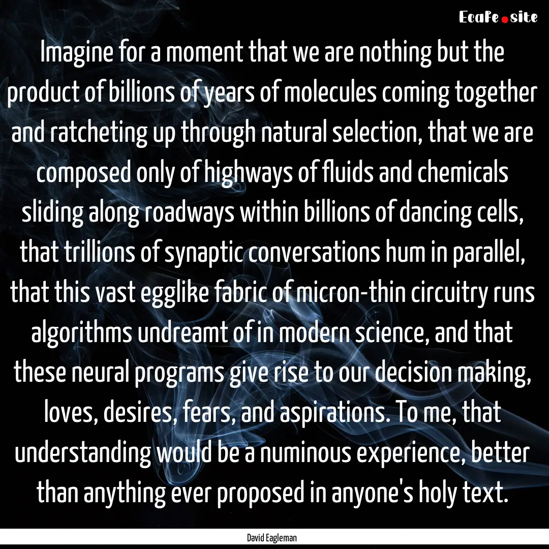 Imagine for a moment that we are nothing.... : Quote by David Eagleman