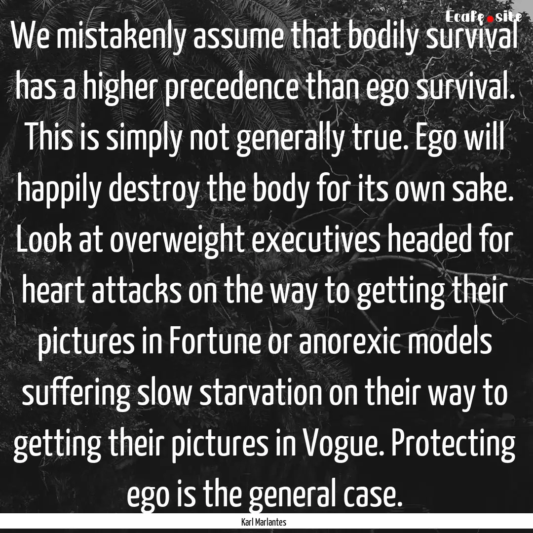 We mistakenly assume that bodily survival.... : Quote by Karl Marlantes