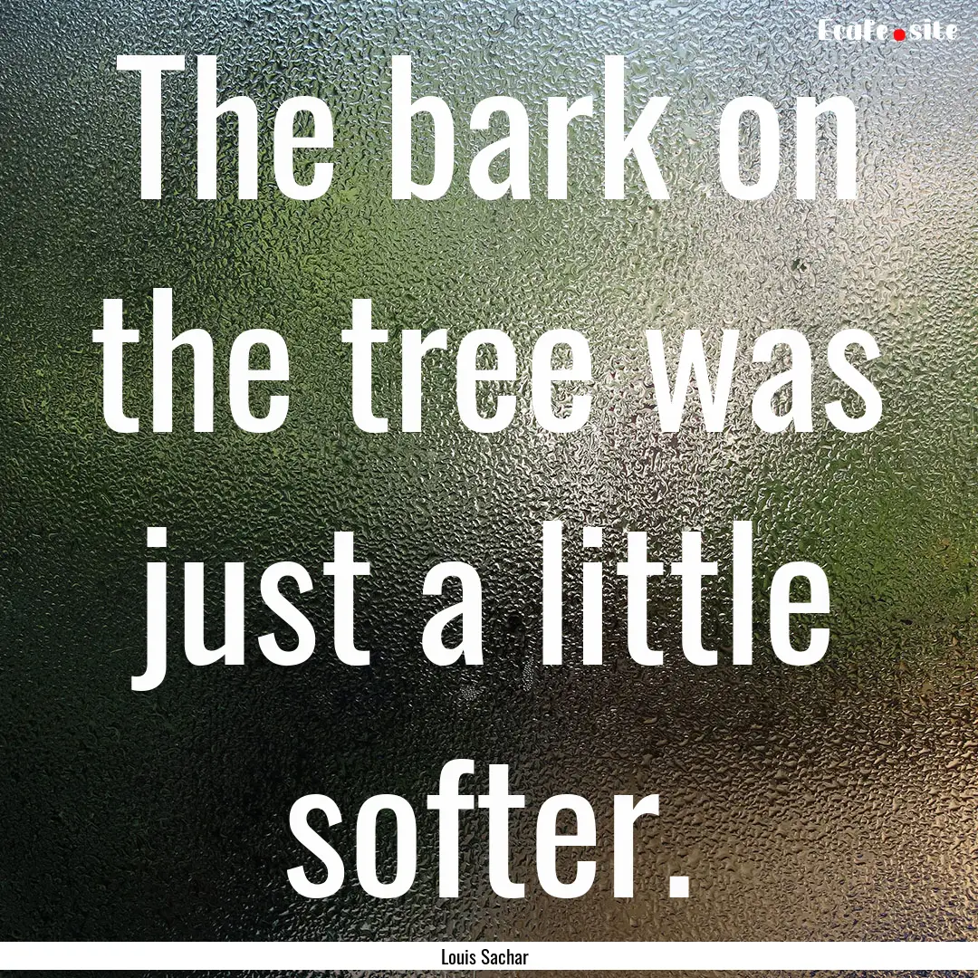 The bark on the tree was just a little softer..... : Quote by Louis Sachar