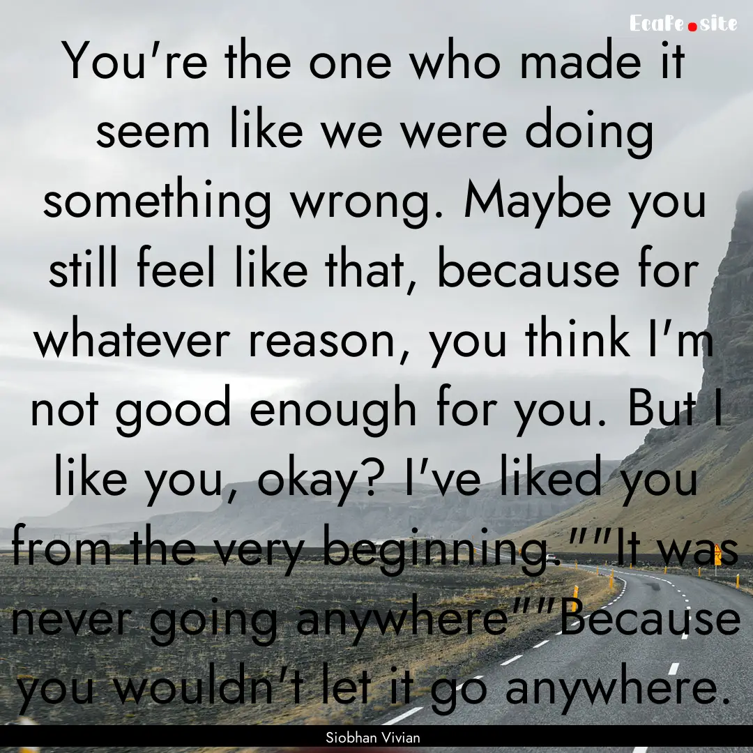 You're the one who made it seem like we were.... : Quote by Siobhan Vivian