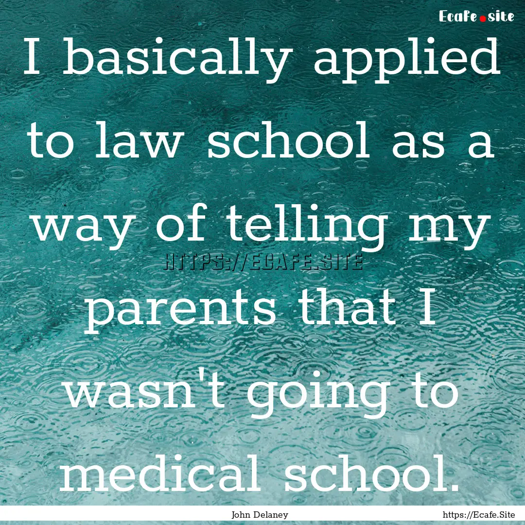 I basically applied to law school as a way.... : Quote by John Delaney