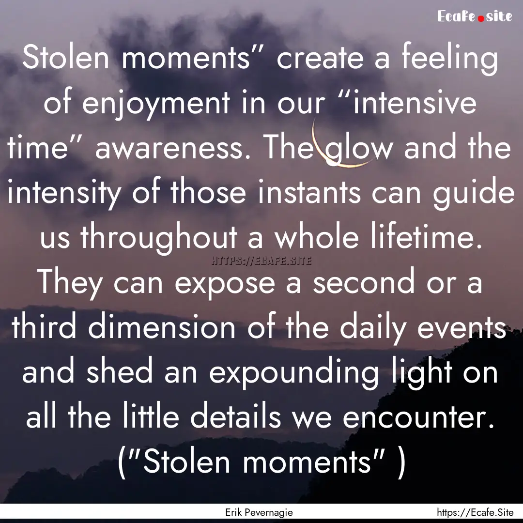 Stolen moments” create a feeling of enjoyment.... : Quote by Erik Pevernagie