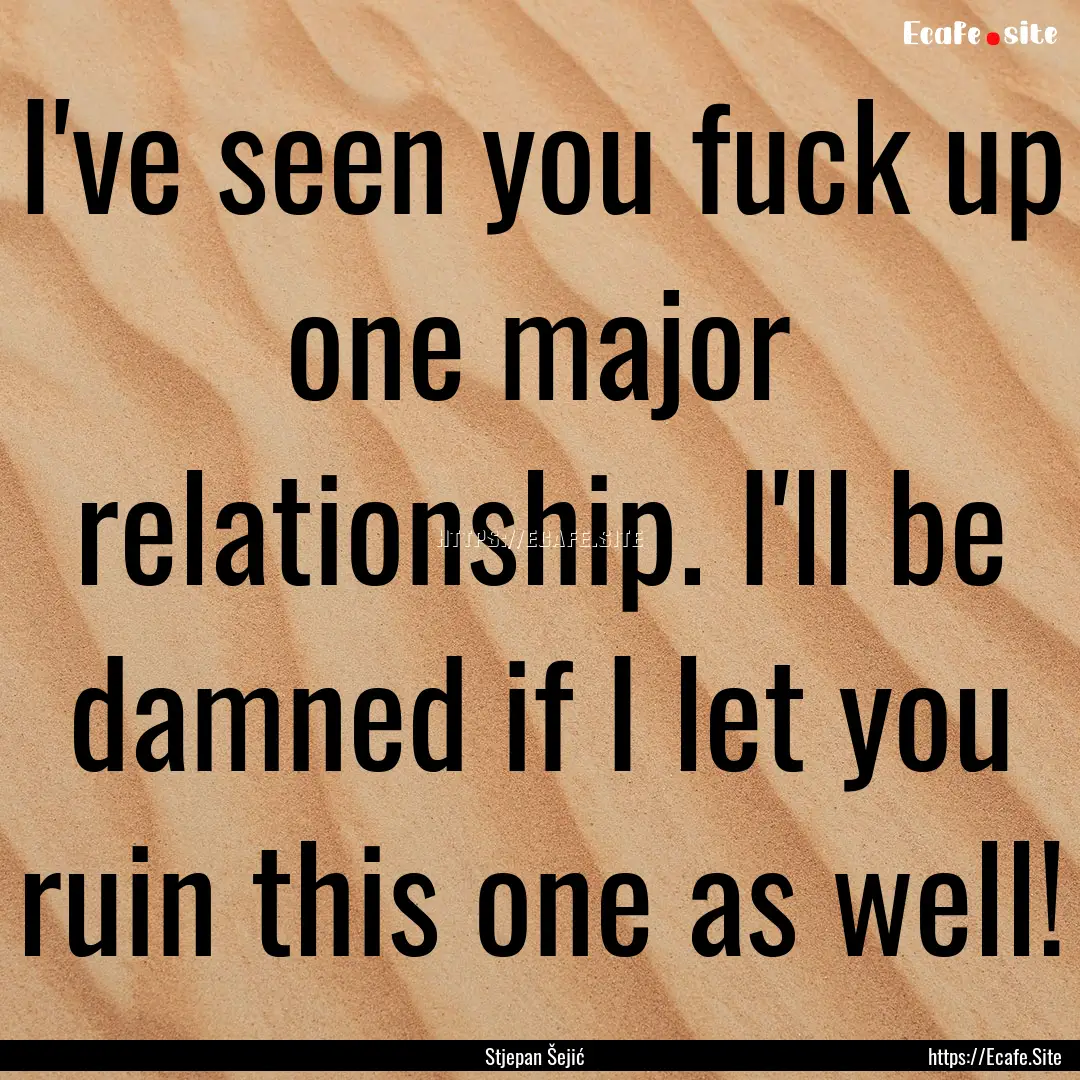 I've seen you fuck up one major relationship..... : Quote by Stjepan Šejić