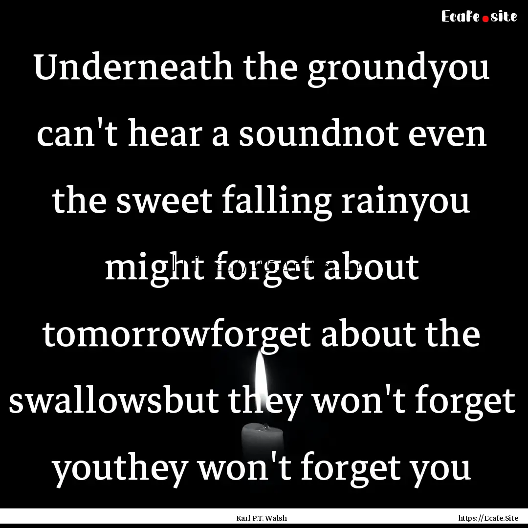 Underneath the groundyou can't hear a soundnot.... : Quote by Karl P.T. Walsh