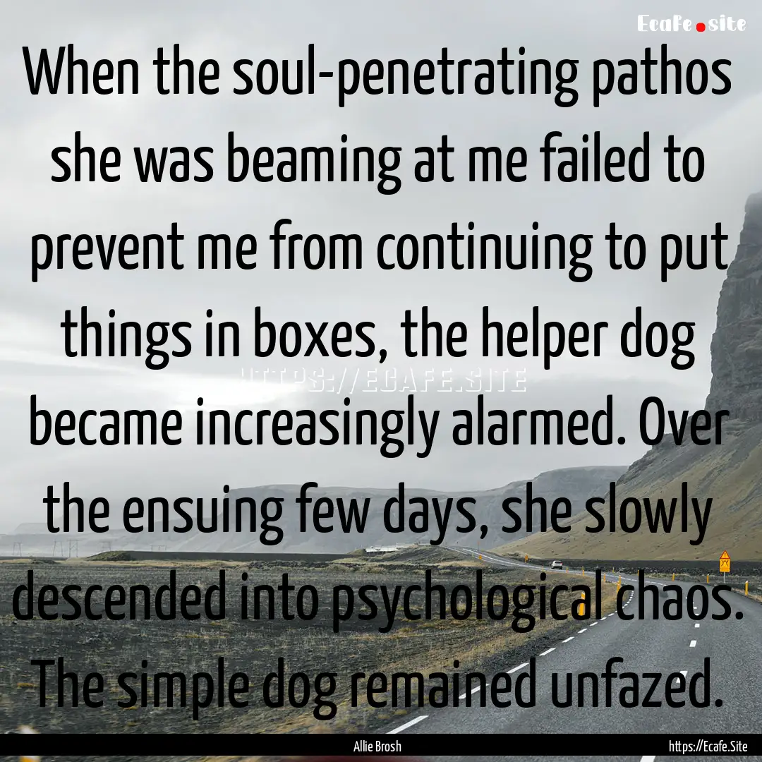 When the soul-penetrating pathos she was.... : Quote by Allie Brosh