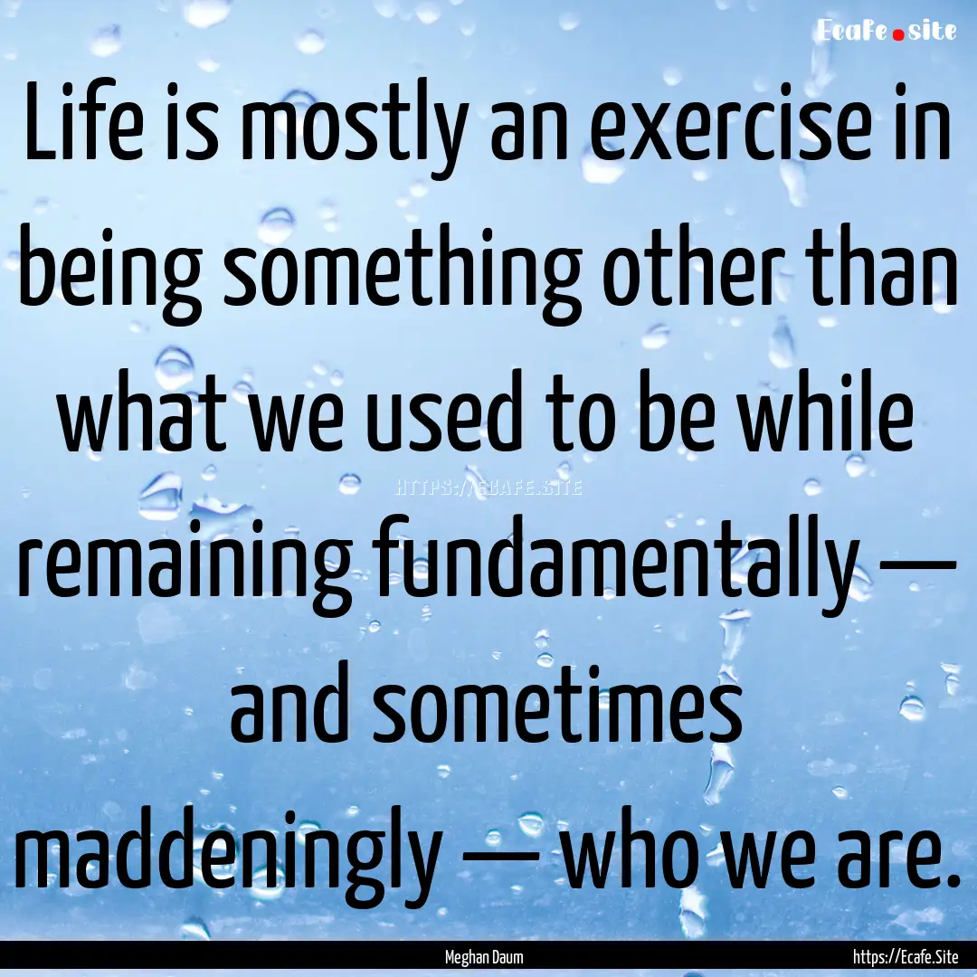 Life is mostly an exercise in being something.... : Quote by Meghan Daum